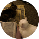 Afeefah Hersi profile picture